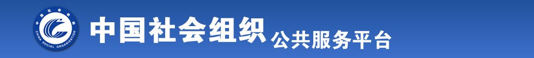 扣逼舒服全国社会组织信息查询